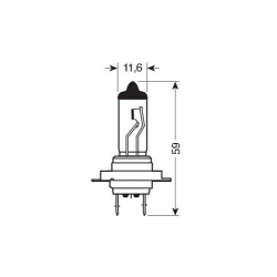 AMPOULES X2 24V H7 - 70W - Ampoules